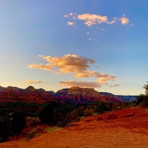 Meet your Posher, Edy